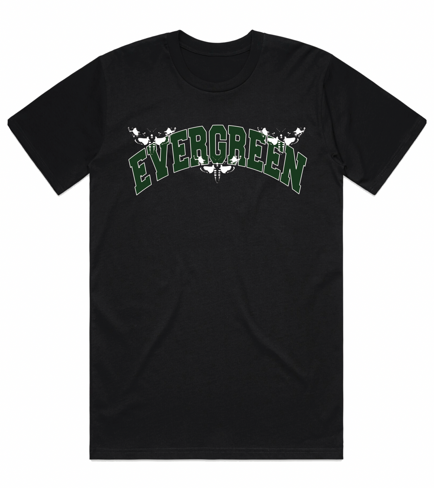 Forest Green Evergreen x Monarch